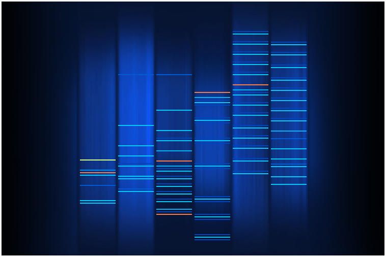 Image by Adrian Ritchie on flickr (link)